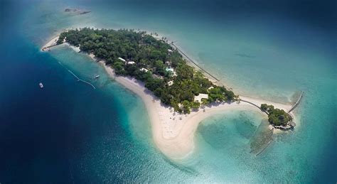 THE ISLAND BUENAVISTA .